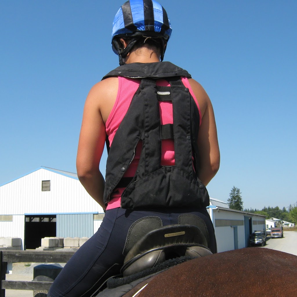 Hit Air Equestrian Canada | 2863 240 St, Langley Twp, BC V2Z 1N3, Canada | Phone: (604) 832-0860