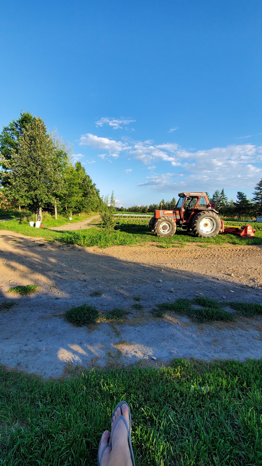 Cadet Roussel farm | 730 Rang Chartier, Mont-Saint-Grégoire, QC J0J 1K0, Canada | Phone: (450) 346-4993