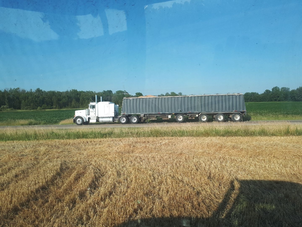 Chad Bennewies Trucking | 37186 S Rd, Dashwood, ON N0M 1N0, Canada | Phone: (519) 639-7747