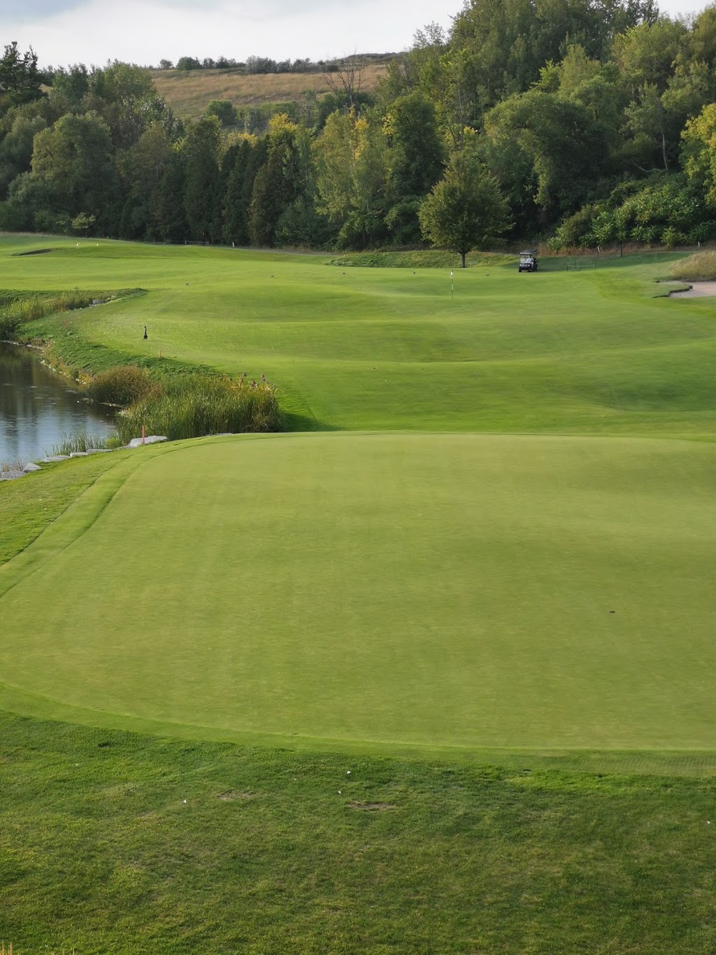 Eagles Nest Golf Club | 10000 Dufferin St, Maple, ON L6A 1S3, Canada | Phone: (905) 417-2300