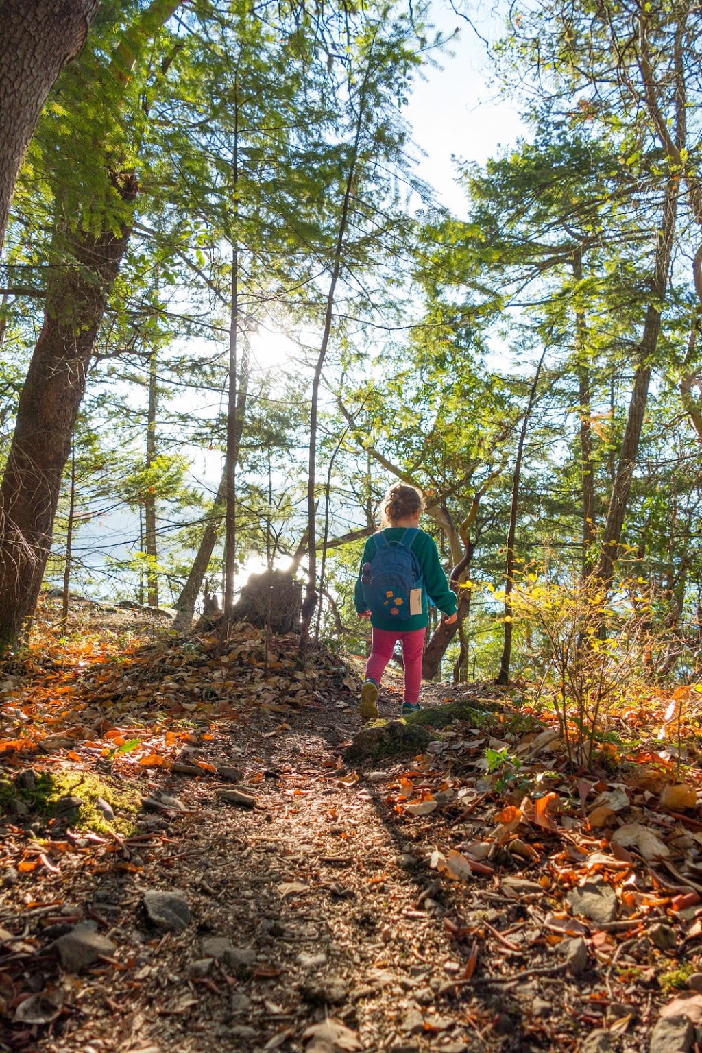 Mt. Erskine trail head | 106-370 Collins Rd, Salt Spring Island, BC V8K 2M9, Canada