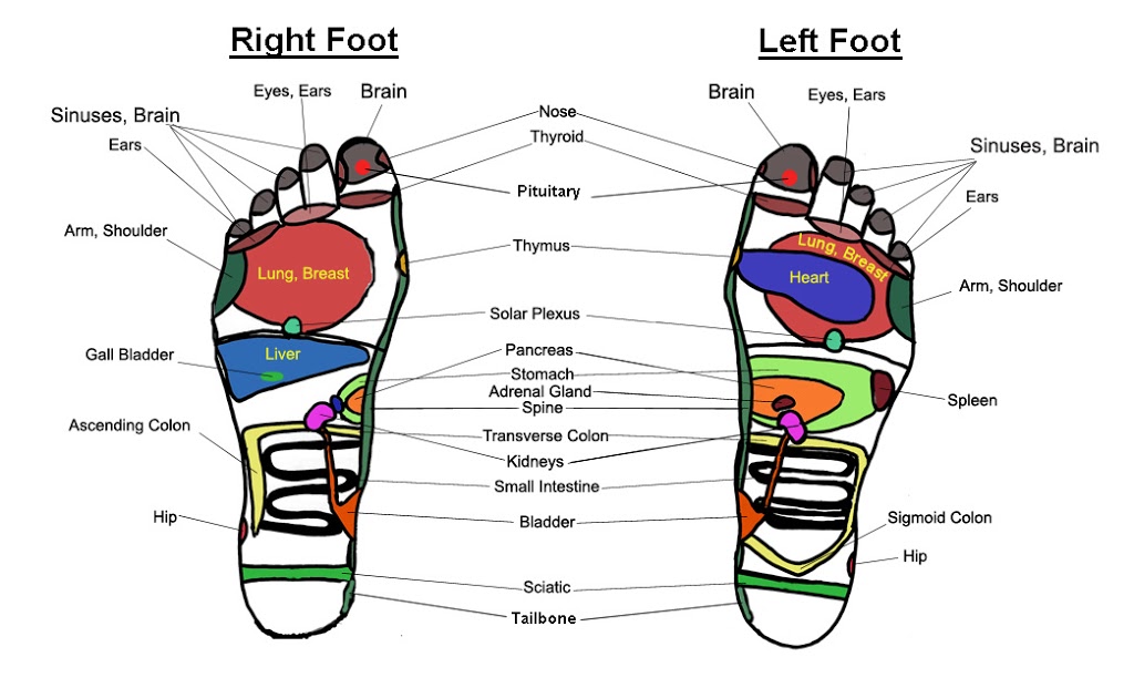 Reflexology Montreal | 122 Boulevard Thompson, Saint-Laurent, QC H4N 1B7, Canada | Phone: (514) 467-4499