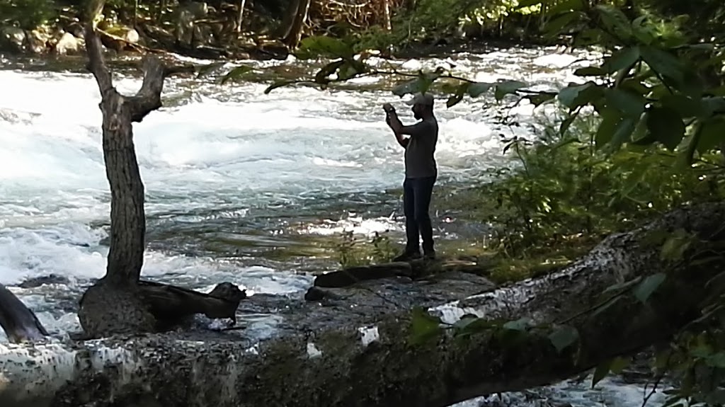 Buttermilk Falls | 16946 ON-35, Algonquin Highlands, ON K0M 1J1, Canada | Phone: (705) 489-1904