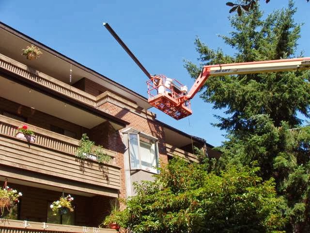 Advantage Gutters | 23018 24 Ave, Langley, BC V2Z 2Z5, Canada | Phone: (604) 514-9886