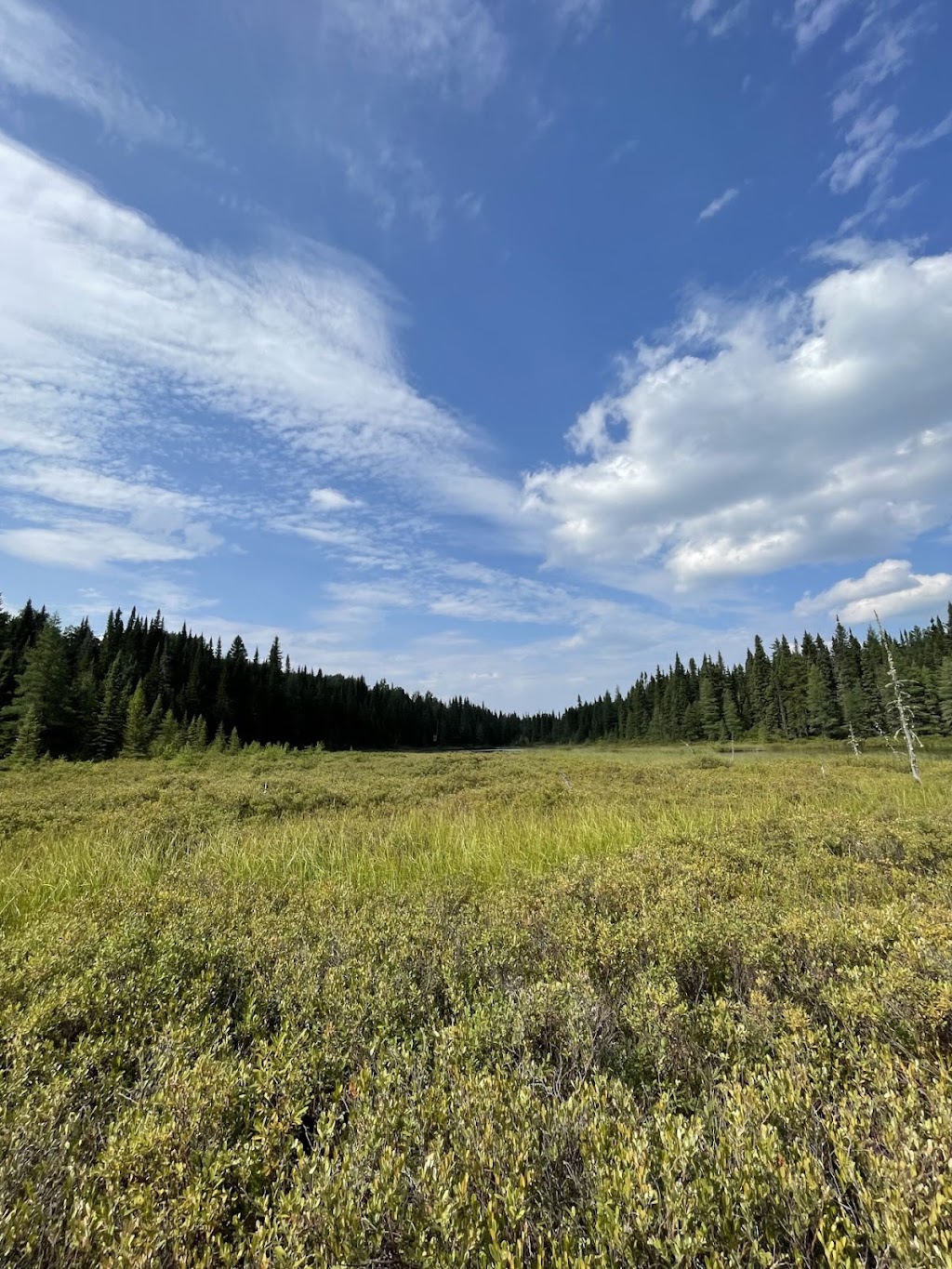 Pourvoirie de La Doré | 36 Chemin de la Branche Ouest KM, La Doré, QC G8J 1A4, Canada | Phone: (418) 317-6431