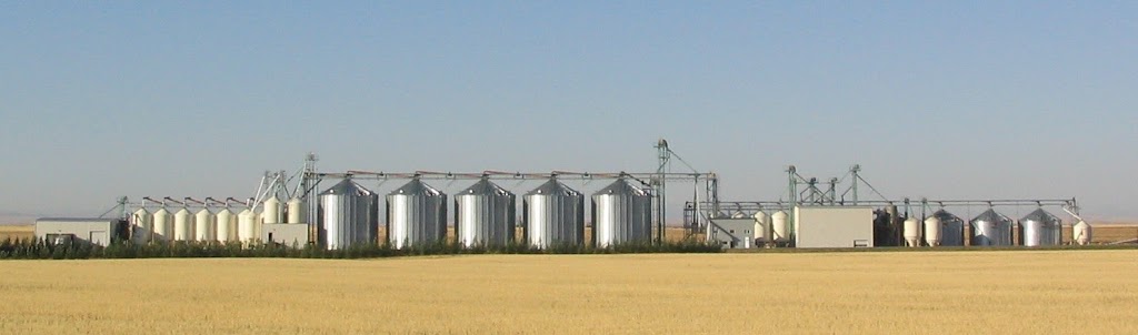 L.A. Grain Ltd. | 75030, Range Rd 203a, Lethbridge County, AB T1K 8G9, Canada | Phone: (403) 327-9787