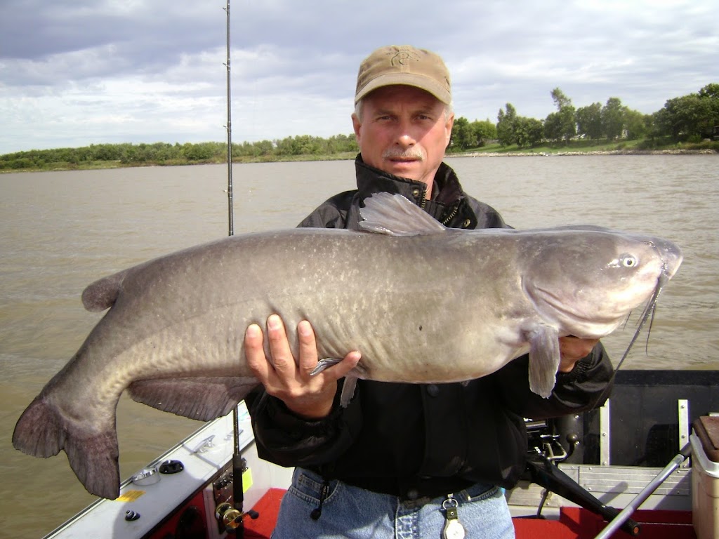 Whiskers & Walleye with Bass | 6940 Henderson Hwy, Lockport, MB R1B 1A5, Canada | Phone: (204) 990-2171