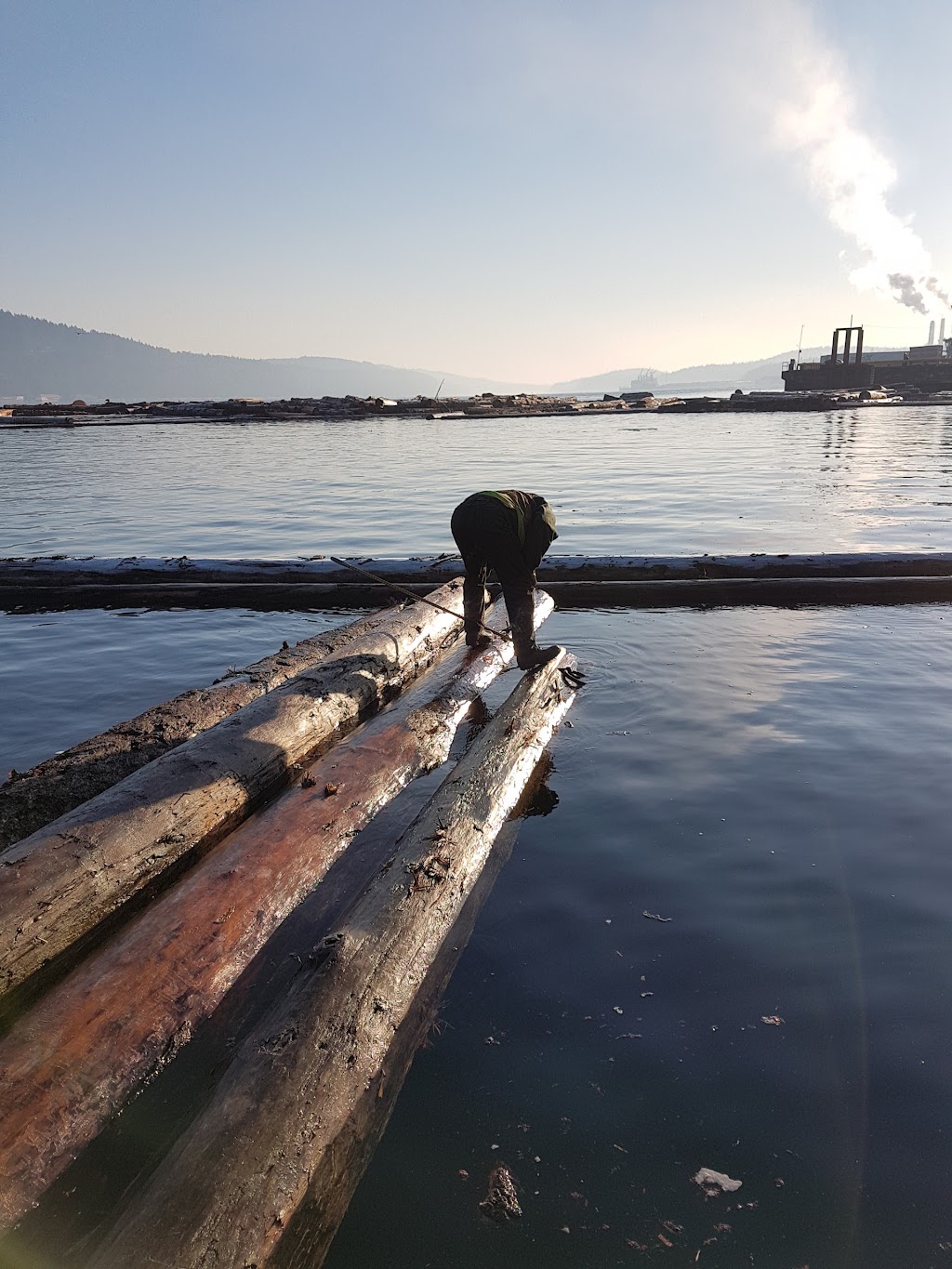 Teal Jones Forest Ltd | 750 Jackson Rd, Nanaimo, BC V9X 1J2, Canada | Phone: (250) 722-0276