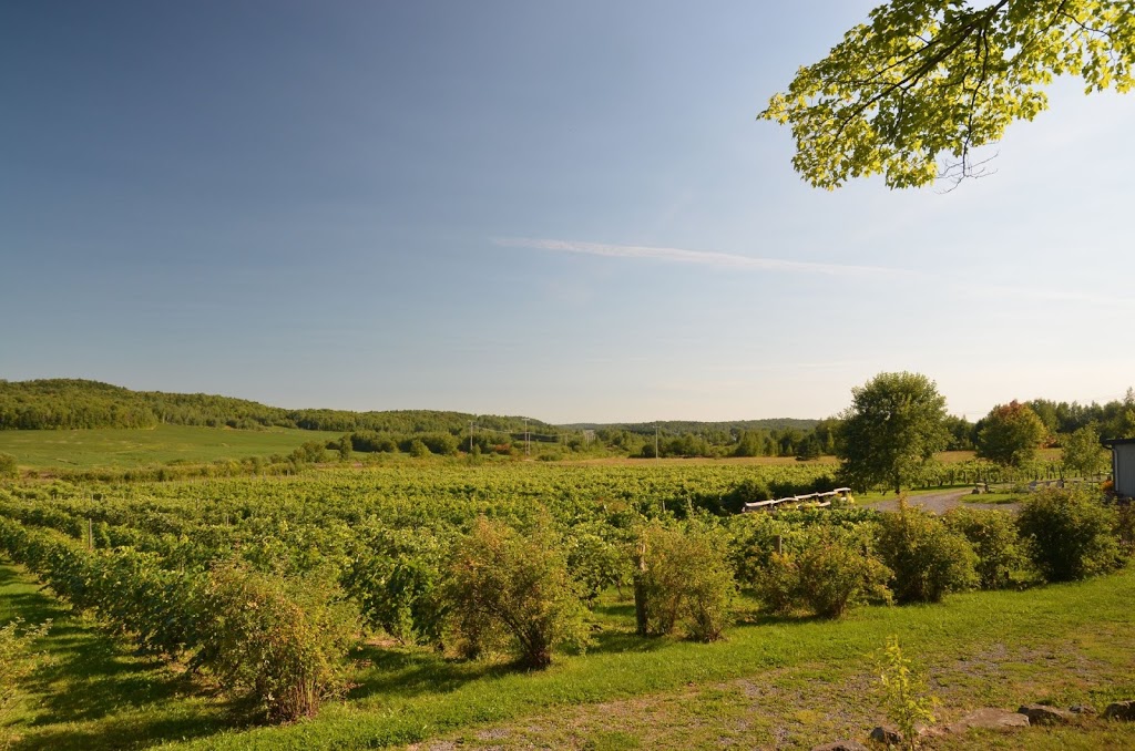 Clos Sainte-Thècle | SUR RENDEZ-VOUS SEULEMENT, 171 Rue du Vignoble, Sainte-Thècle, QC G0X 3G0, Canada | Phone: (581) 781-8468