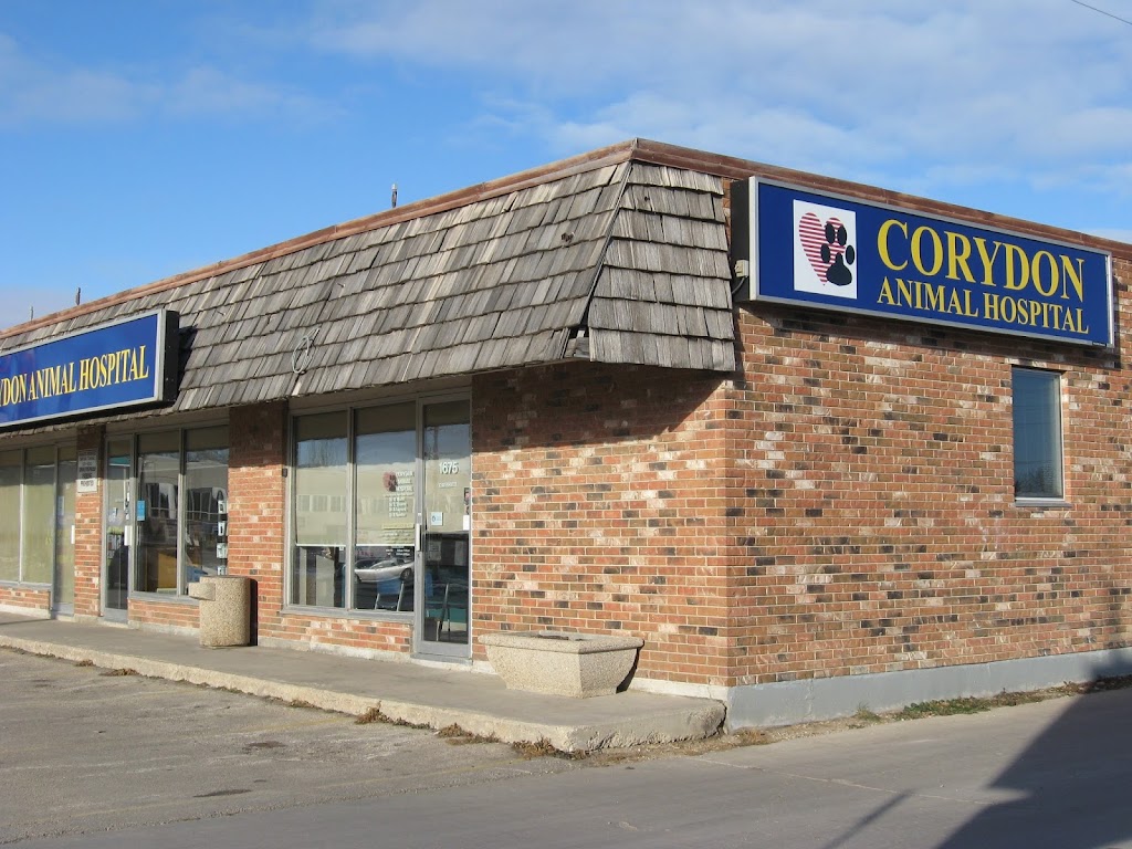 Corydon Animal Hospital | 1675 Corydon Ave, Winnipeg, MB R3N 0J8, Canada | Phone: (204) 488-4577