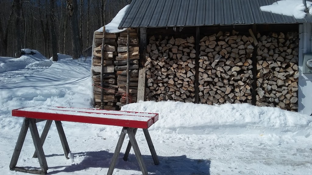 Érablière Marcel Gagnon | Érablière Marcel Gagnon, 550 Chemin des Érables, Saint-Prosper, QC G0X 3A0, Canada | Phone: (418) 328-8465