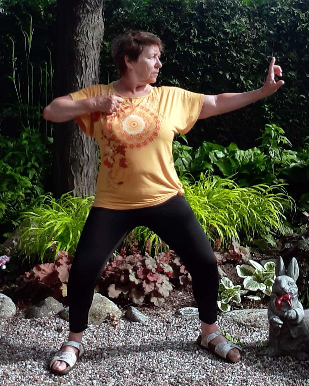 Taichi Qigong by Sandra Mitchell | Rue Toulon, Brossard, QC J4W 2X2, Canada | Phone: (514) 576-4172