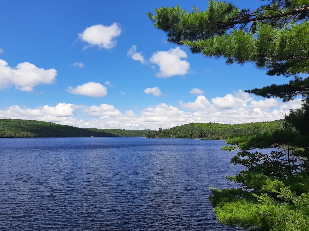 Rock Lake Campground Office | Algonquin Highlands, ON K0M 1J1, Canada | Phone: (705) 633-5572