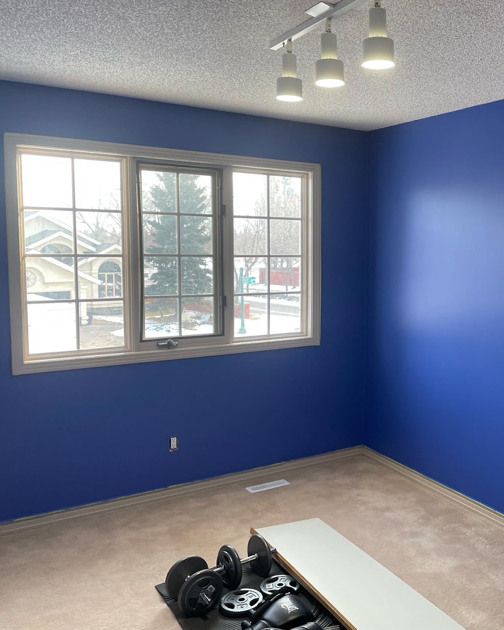 Duke Painting Company - Edmonton | 230 Edgemont Rd NW, Edmonton, AB T6M 0Y8, Canada | Phone: (587) 340-8482