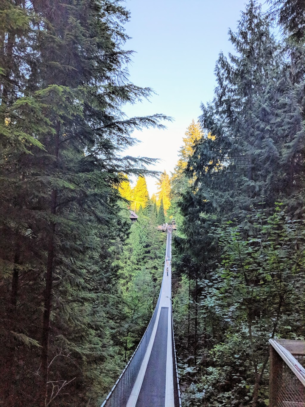 Capilano Suspension Bridge Park – Raptors Ridge | Unnamed Road, West Vancouver, BC V7S 1J5, Canada | Phone: (604) 985-7474