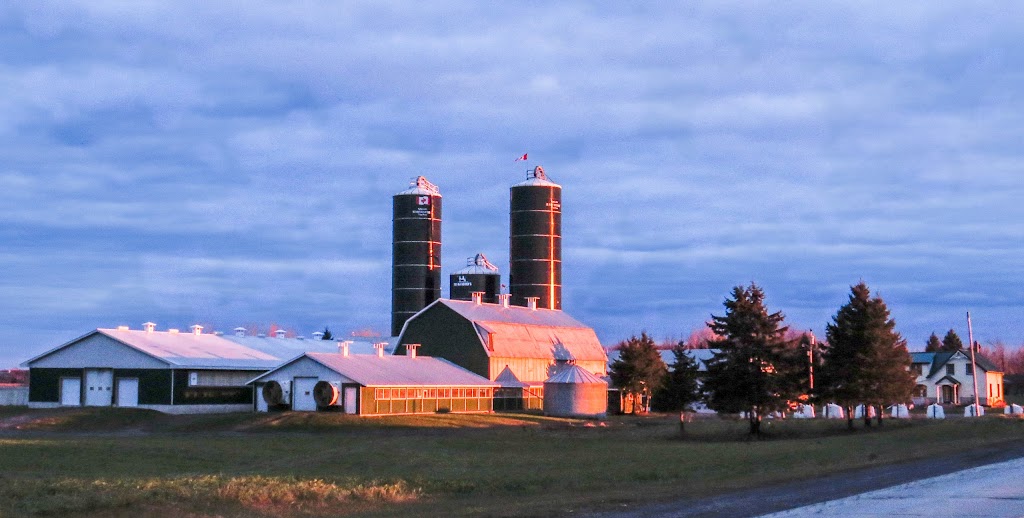 Navandale Farm | 1081 Perrault Rd, Navan, ON K4B 1H8, Canada | Phone: (613) 835-3126