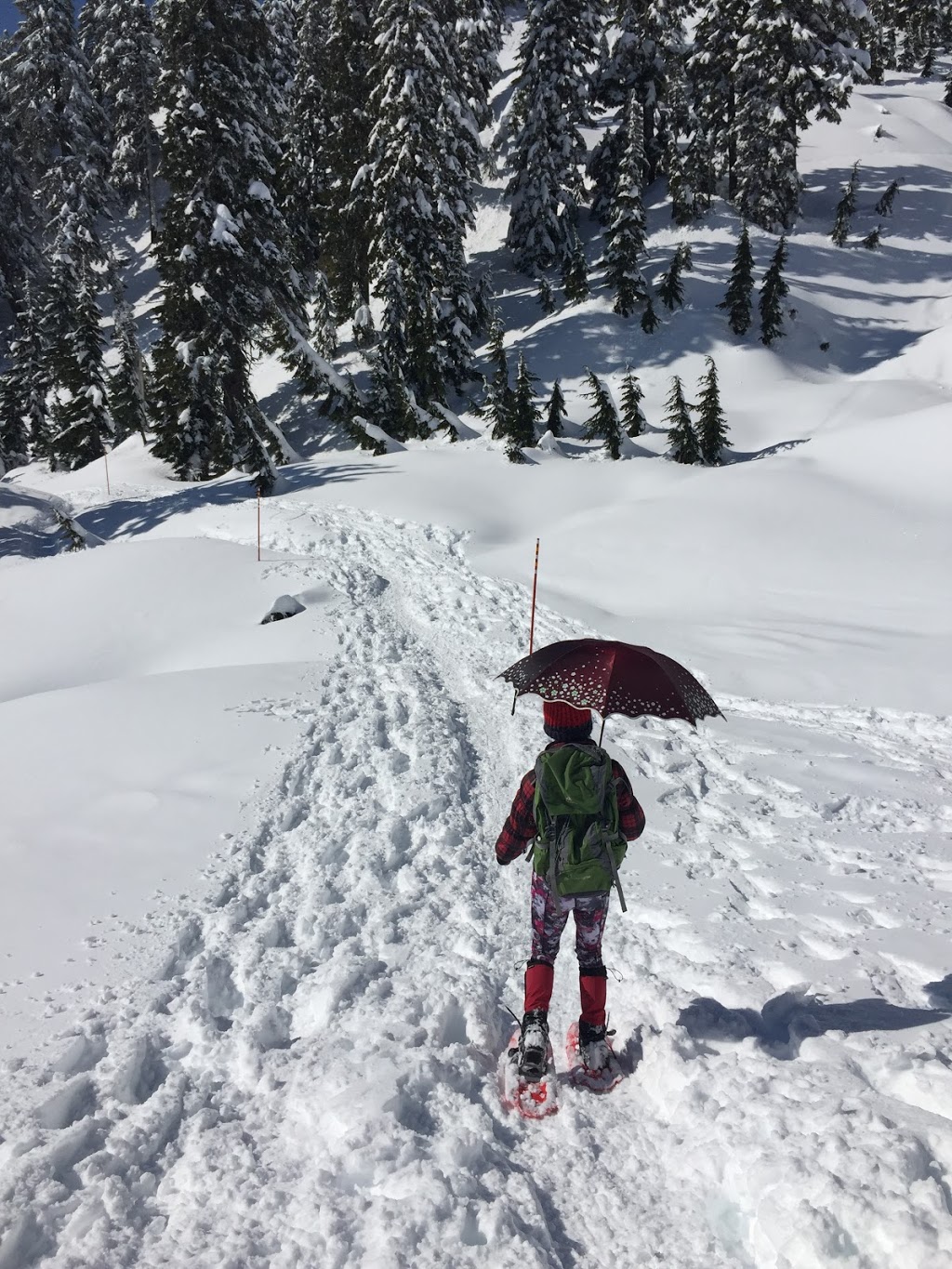 Mount Seymour Trail | Mount Seymour Trail, North Vancouver, BC V7G 1L3, Canada