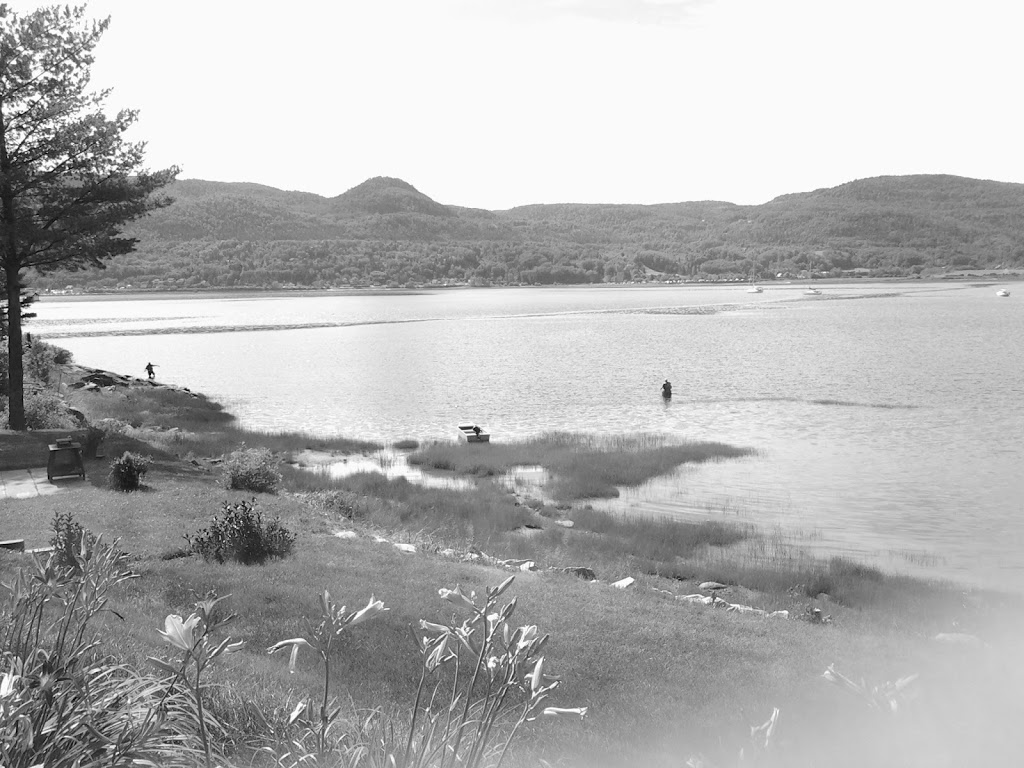 Résidence touristique lAnse de tabatière | 8 Chem. du Cran, LAnse-Saint-Jean, QC G0V 1J0, Canada | Phone: (581) 221-2022