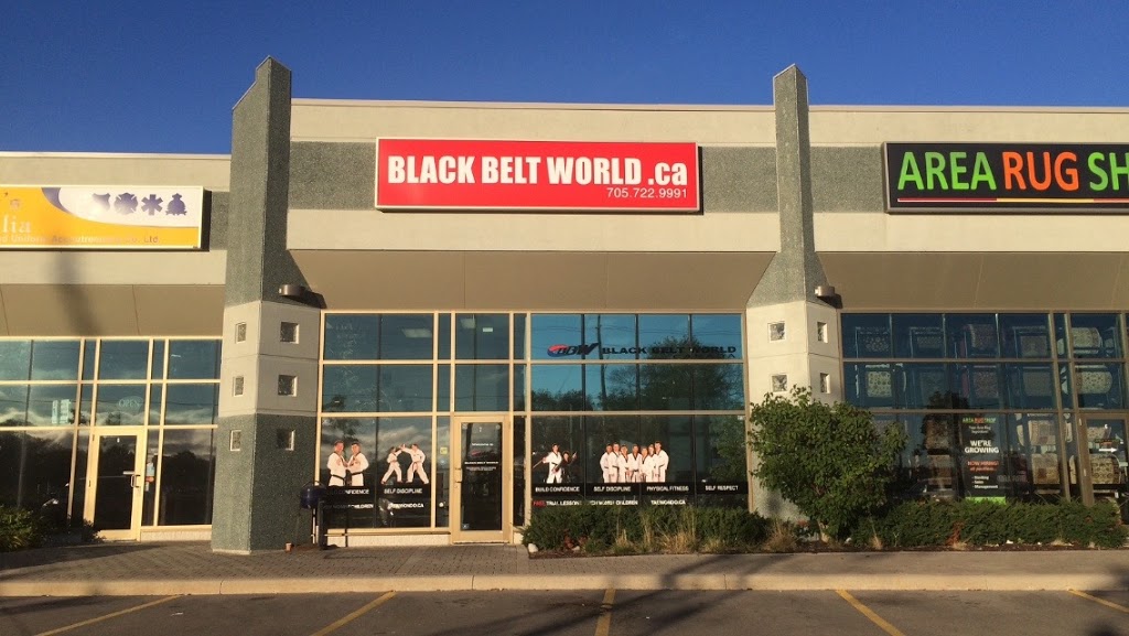 Black Belt World Barrie West | 1 King St #7, Barrie, ON L4N 6B5, Canada | Phone: (705) 722-9991