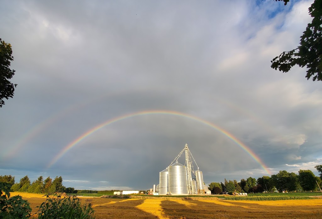 Mount Pleasant Grains Ltd. | 5896 Line 16, Fullarton, ON N0K 1H0, Canada | Phone: (519) 274-5369