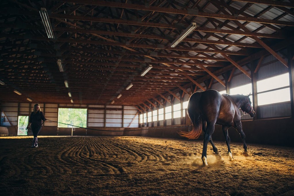 Stone City Performance Horses | 896 Unity Rd, Glenburnie, ON K0H 1S0, Canada | Phone: (613) 650-7272