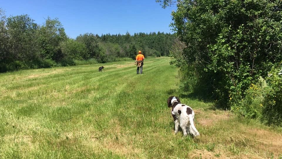 CynoTech Centre de Conditionnement Canin | 13 Rte de lÉglise N, Saint-Modeste, QC G0L 3W0, Canada | Phone: (581) 337-3361