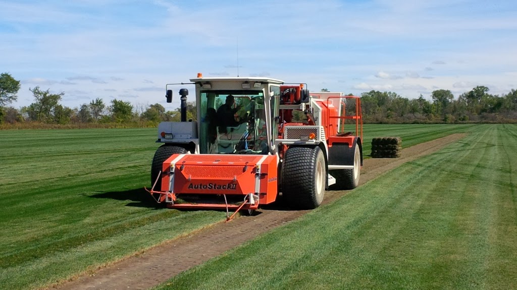 L & M Sod Farms Ltd. | 15511 Essex 8, Oldcastle, ON N0R 1L0, Canada | Phone: (519) 737-7214