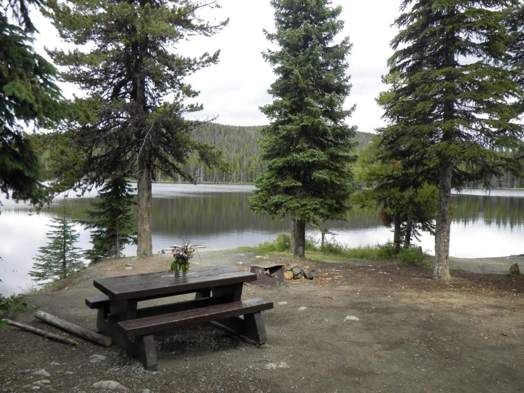 Brenda Lake Forestry Campground | Unnamed Road, Douglas Lake, BC V0E 1S0, Canada