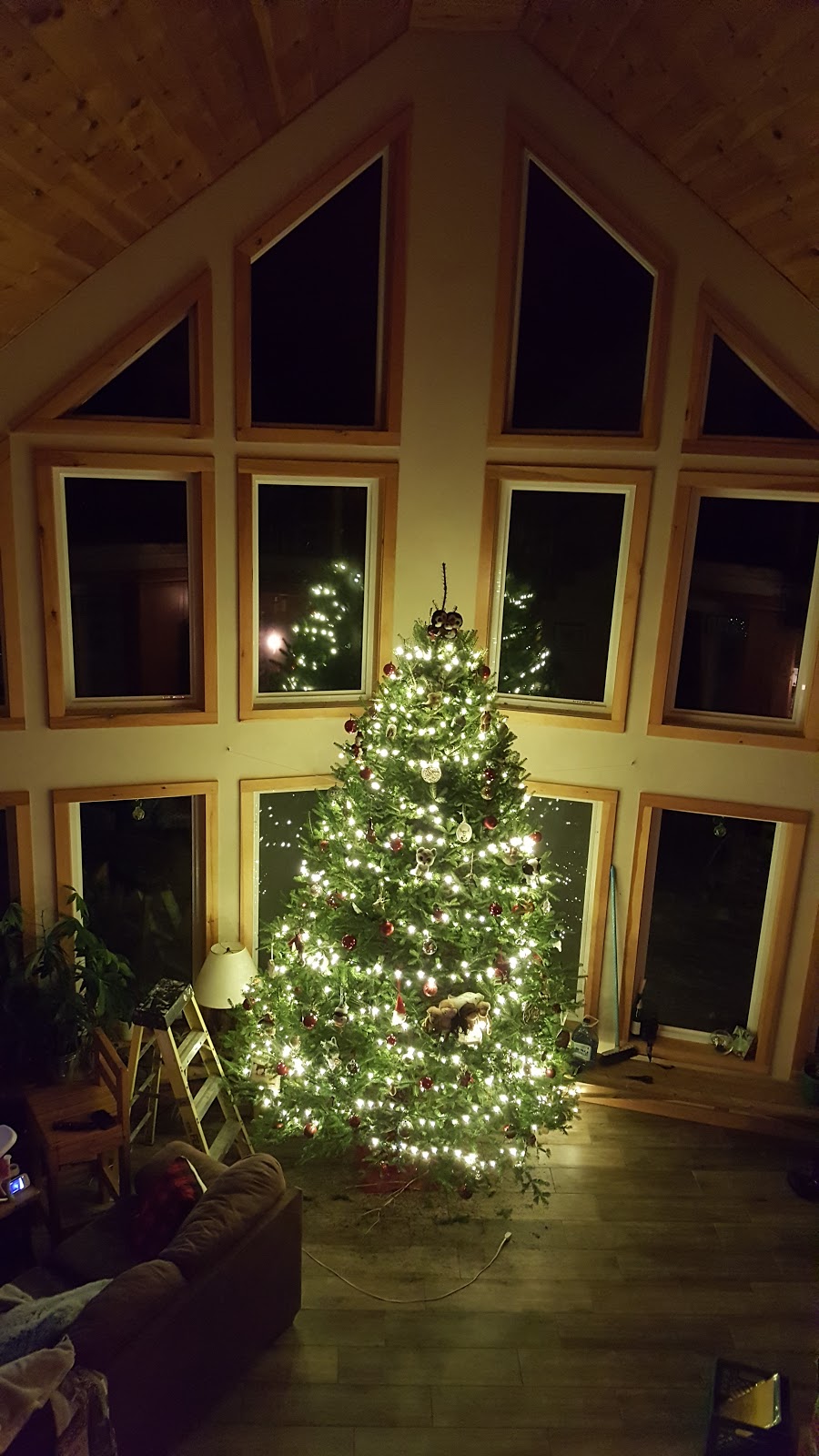 Randys U-Pick Christmas Trees | 148 Aylesford Rd, Springfield, NS B0R 1H0, Canada | Phone: (902) 547-2230