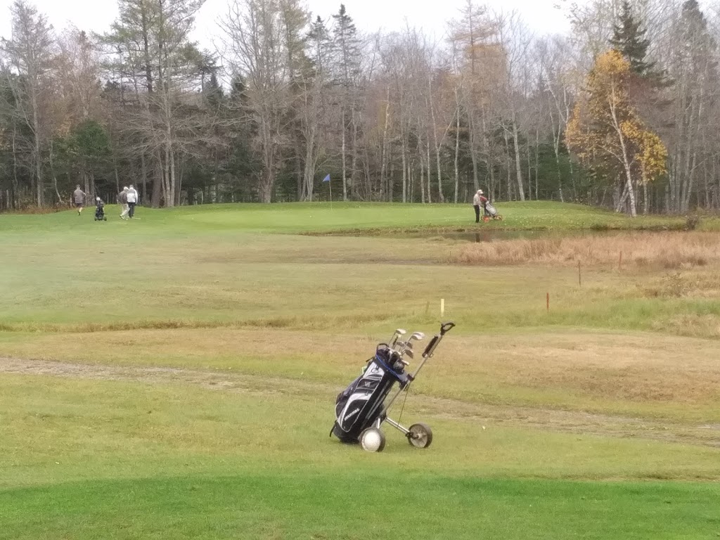 Airlane Golf Club | 2103 Old Guysborough Rd, Goffs, NS B2T 1B9, Canada | Phone: (902) 873-4040