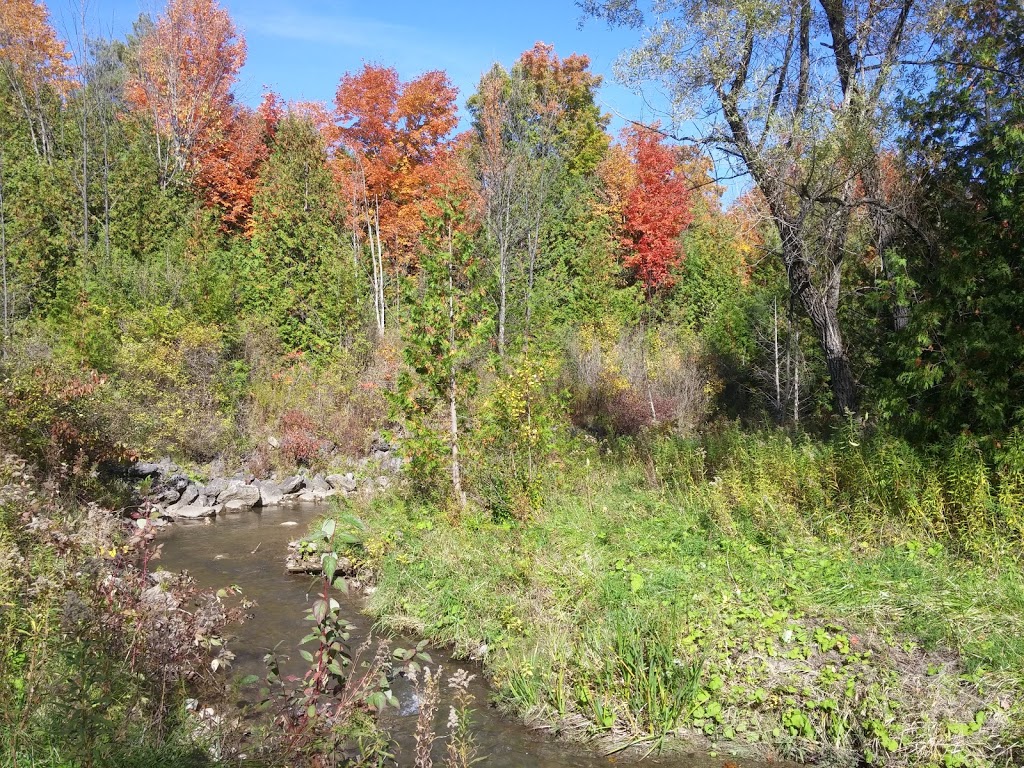 Claremont Nature Centre | 4290 Westney Rd N, Goodwood, ON L0C 1A0, Canada | Phone: (416) 661-6600