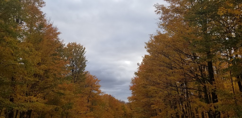 Montagne Rougemont | Rougemont, QC J0L 1M0, Canada