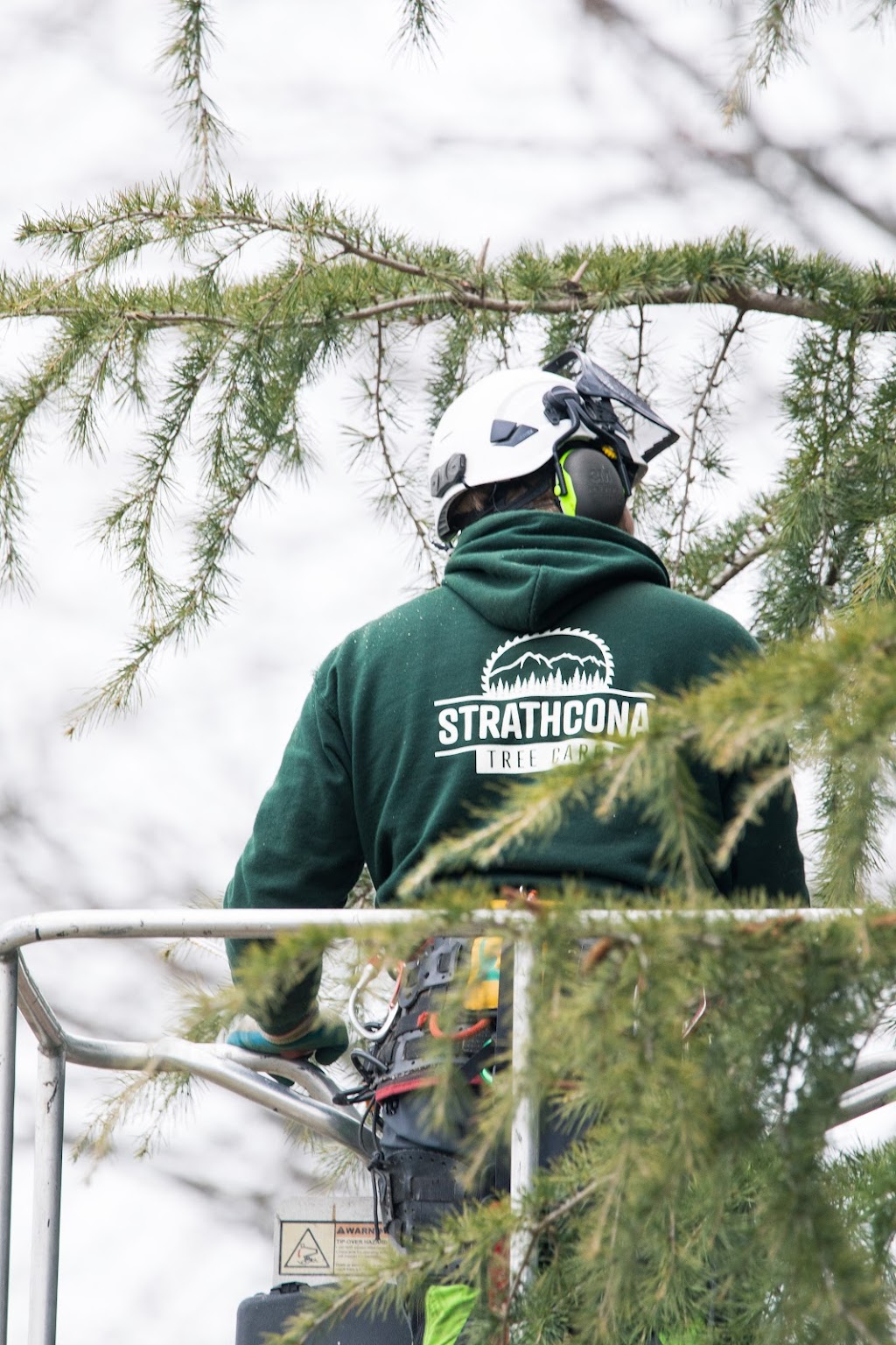 Strathcona Tree Care | 141 Marich Ln, Courtenay, BC V9N 9V2, Canada | Phone: (236) 471-6510