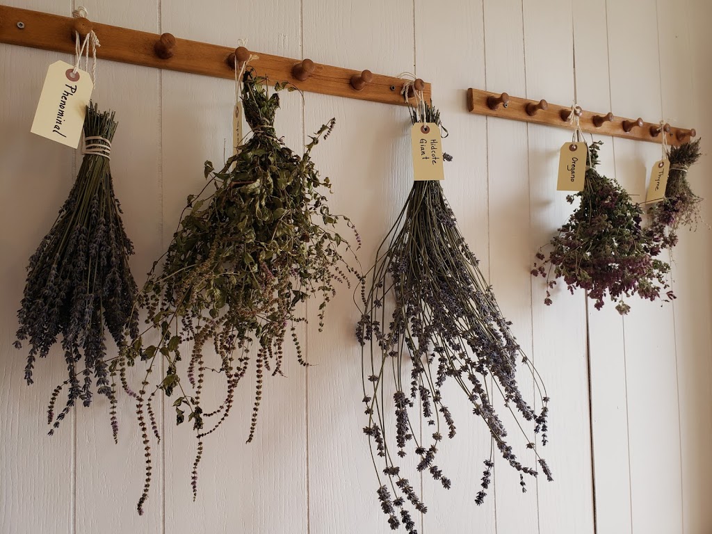 Okanagan Lavender & Herb Farm | 4380 Takla Rd, Kelowna, BC V1W 3C4, Canada | Phone: (250) 764-7795