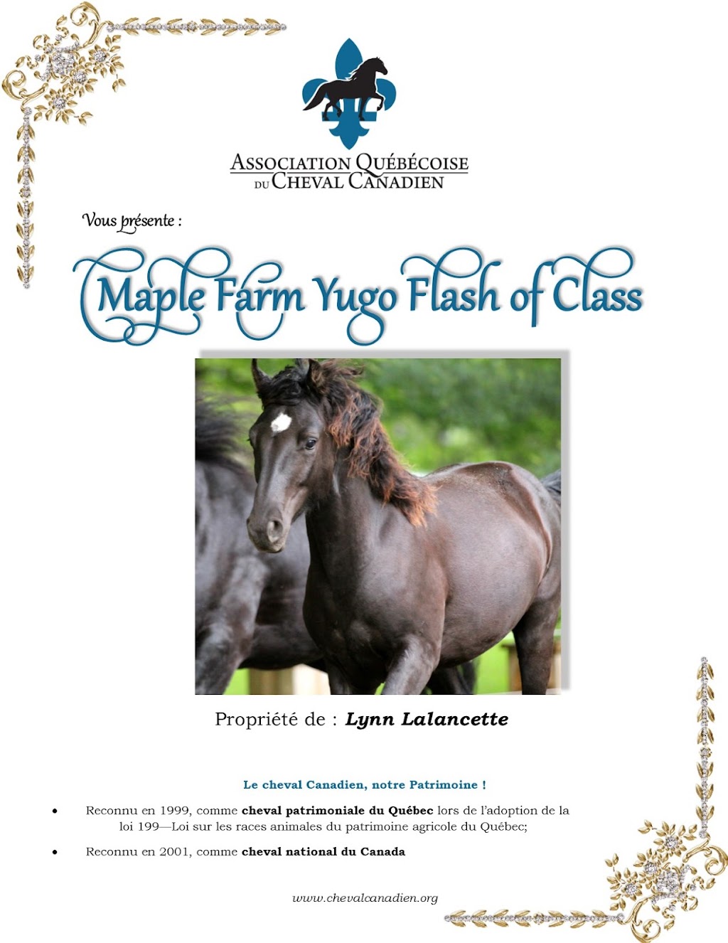 Maple Farm Canadians | 1490 Rue Blueberry Forest, Saint-Lazare, QC J7T 2K1, Canada | Phone: (514) 232-9052