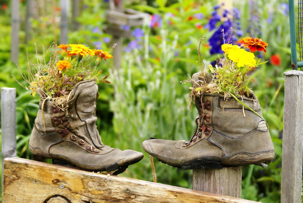 Colony Farm Community Gardens | Coquitlam, BC V3K, Canada