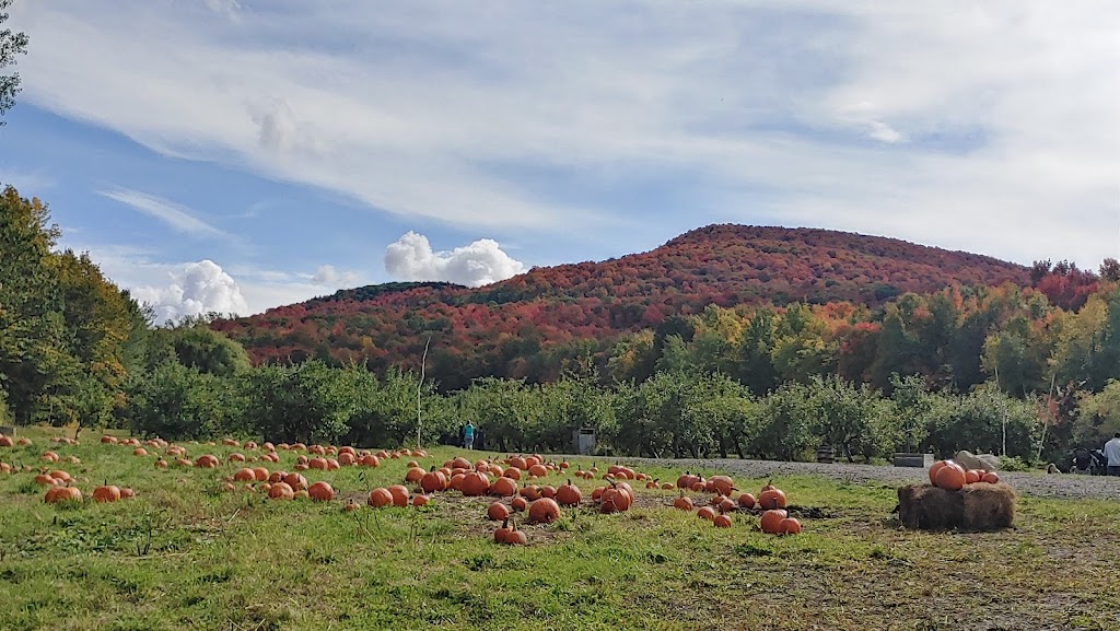 Le Flanc Nord - Orchard & Cidery | 835 Chem. Rouillard, Mont-Saint-Hilaire, QC J3H 0K4, Canada | Phone: (450) 464-7432