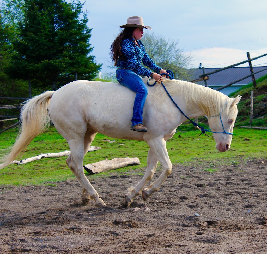 DG Horsemanship | 324 Rang Sainte-Marie, Saint-Alfred, QC G0M 1L0, Canada | Phone: (418) 957-3298