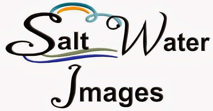 Saltwater Images | 13 Bay Bulls Rd, St. Johns, NL A1G 1A2, Canada | Phone: (709) 739-7258