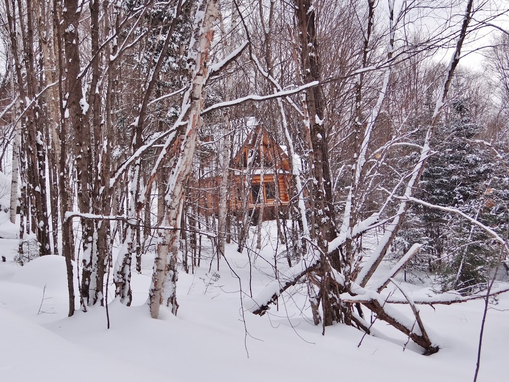 Tremblant Mountain Chalets | 210 Chemin Des Ecorces, Lac-Supérieur, QC J0T 1P0, Canada | Phone: (888) 624-6097