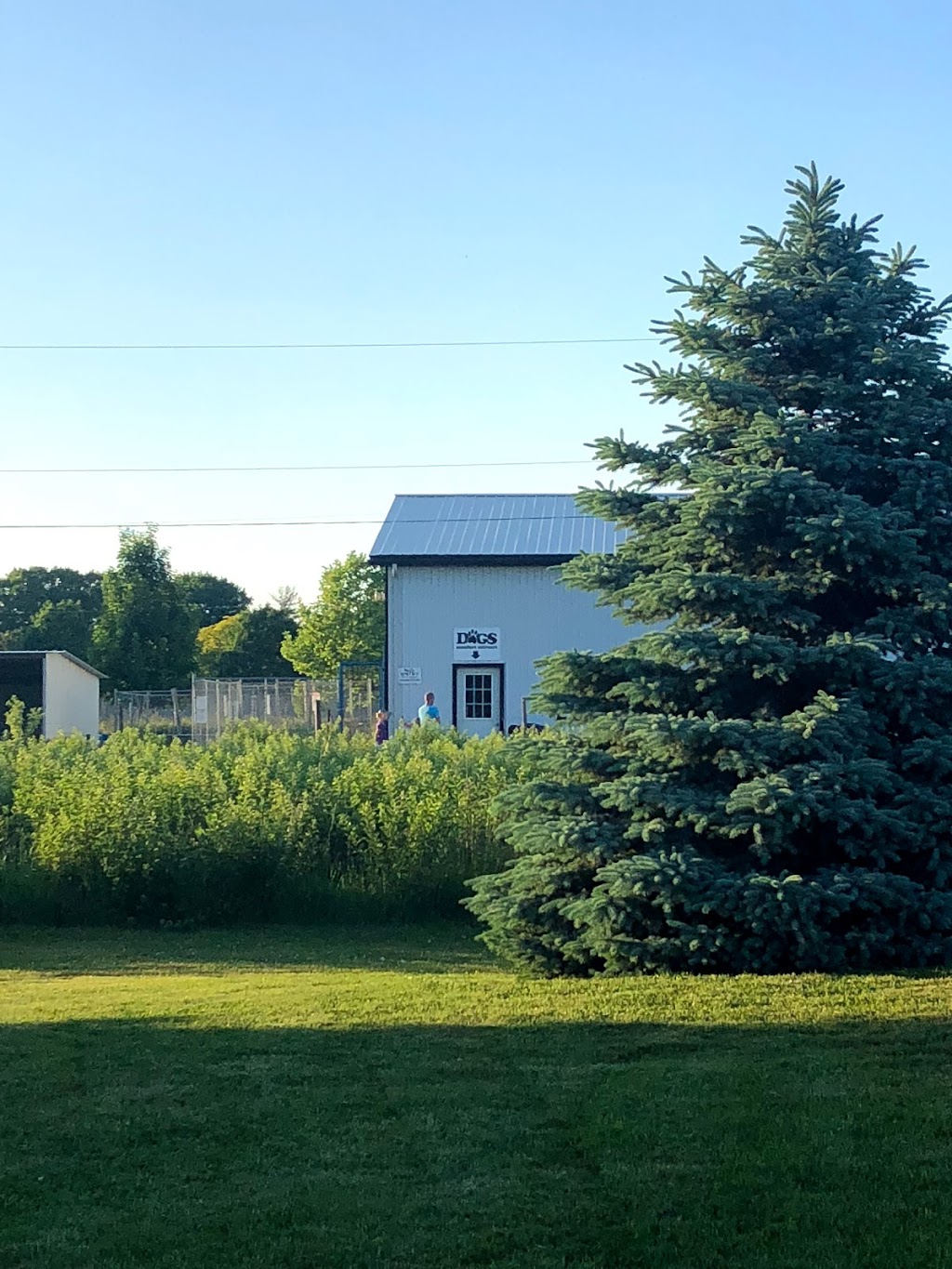 DOGS - Dog Obedience & Guidance School by Nikki | 1429 Gregory Rd, St. Catharines, ON L2R 6P9, Canada | Phone: (905) 650-5422