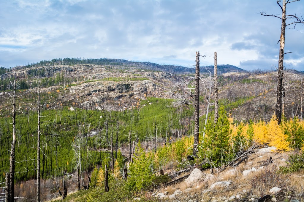 Okanagan Mountain Provincial Park | Lakeshore Rd, Okanagan-Similkameen E, BC V0H, Canada | Phone: (250) 548-0076