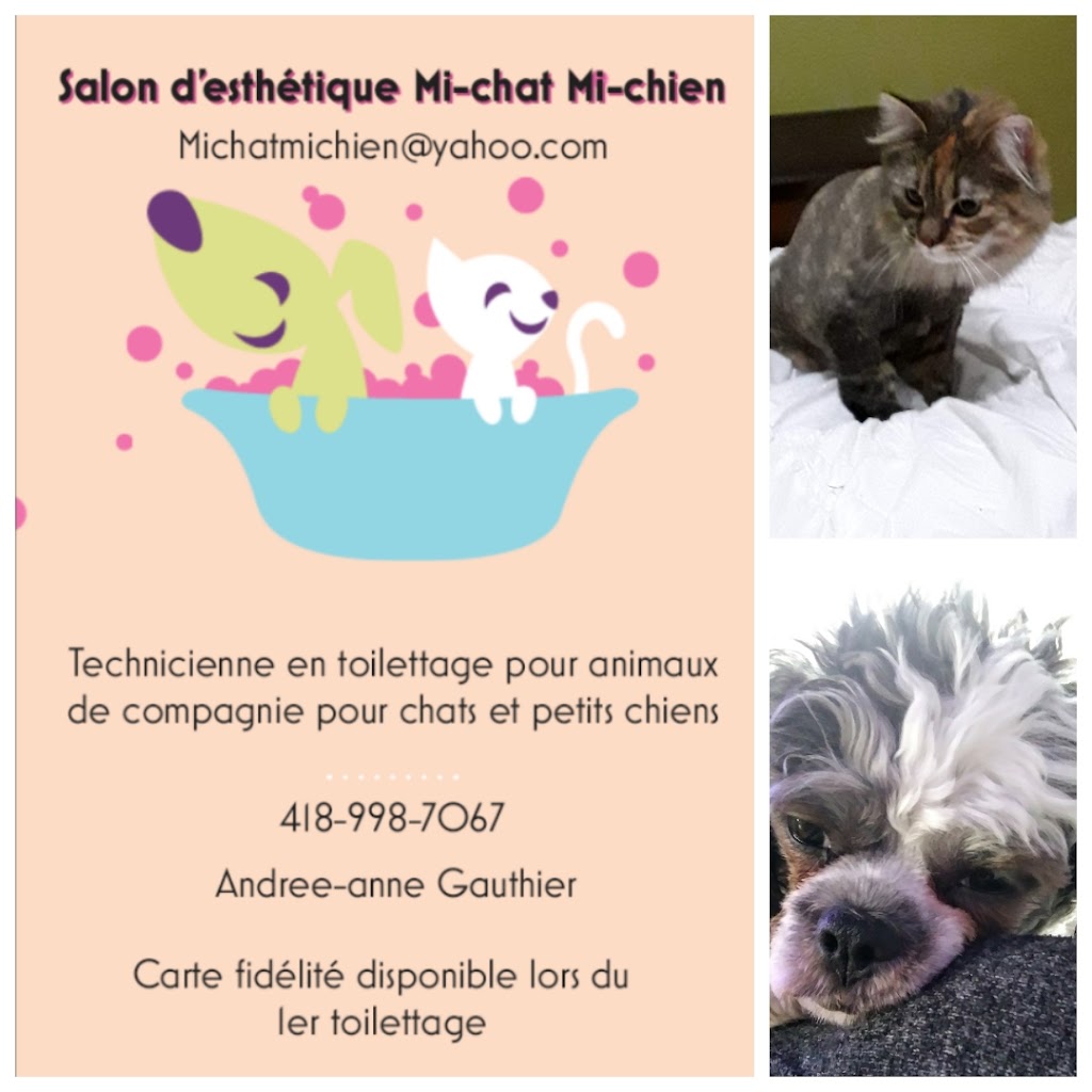 salon desthetique mi-chat mi-chien | 5319 des, Rue des Écureuils, Charlesbourg, QC G1G 1K9, Canada | Phone: (418) 998-7067