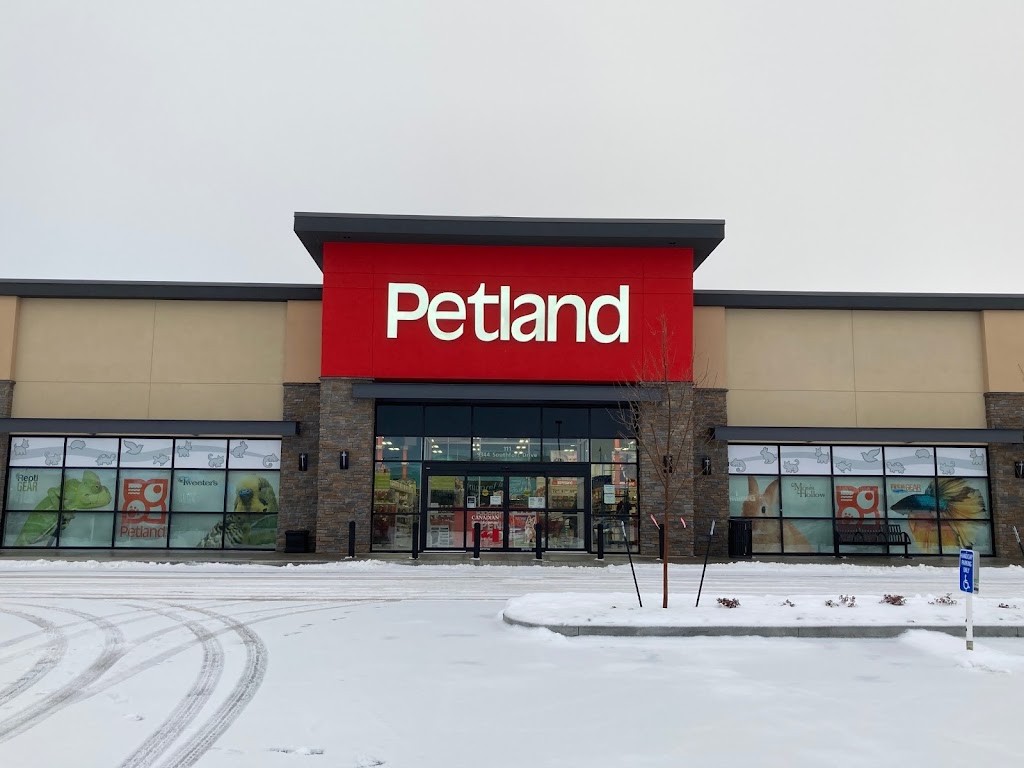 Petland Fort Saskatchewan | 9344 Southfort Dr, Fort Saskatchewan, AB T8L 0C5, Canada | Phone: (587) 285-4586