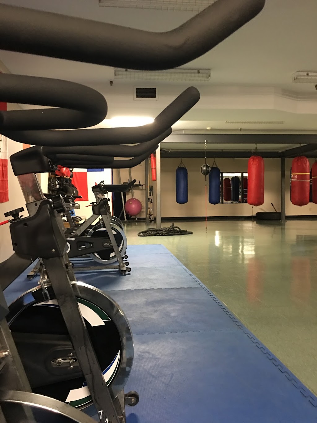 Centre Sportif Ludus | 6002 Bd des Grandes-Prairies, Saint-Léonard, QC H1P 1A5, Canada | Phone: (514) 531-3937