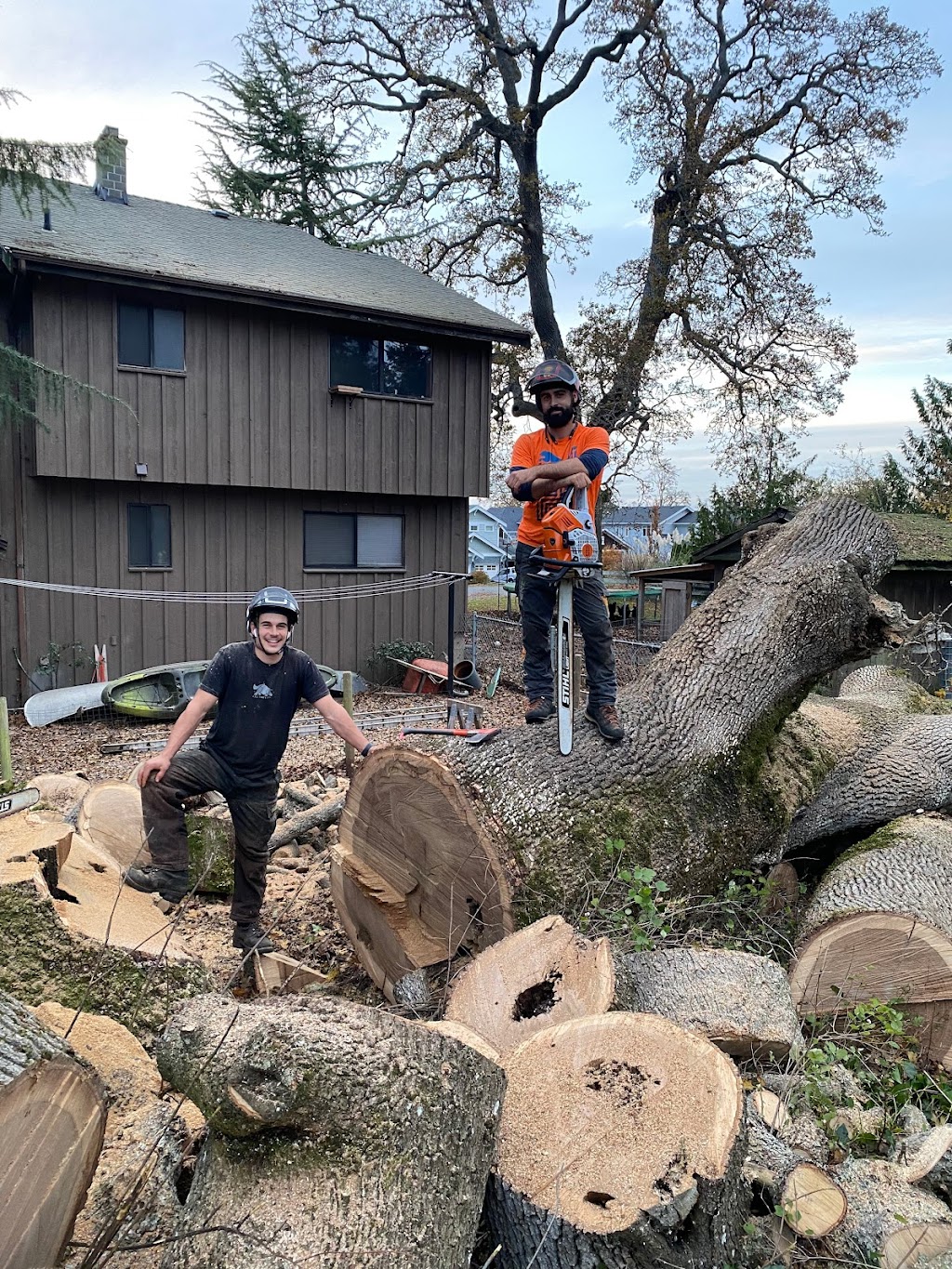 Cullen Tree Service | 6252 Oldfield Rd, Saanichton, BC V8M 1X7, Canada | Phone: (250) 644-3494