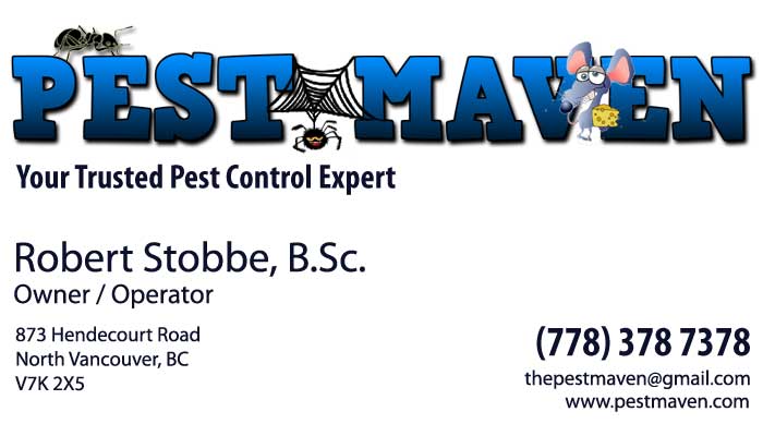 Pest Maven | 873 Hendecourt Rd, North Vancouver, BC V7K 2X5, Canada | Phone: (778) 378-7378