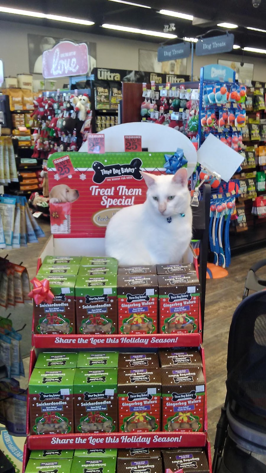 Pet Valu | 331 Ryans Well Dr, Kemptville, ON K0G 1J0, Canada | Phone: (613) 258-2459