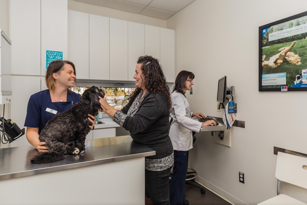 Veterinary Hospital Rawdon | 3440 Rue Metcalfe, Rawdon, QC J0K 1S0, Canada | Phone: (450) 834-5563