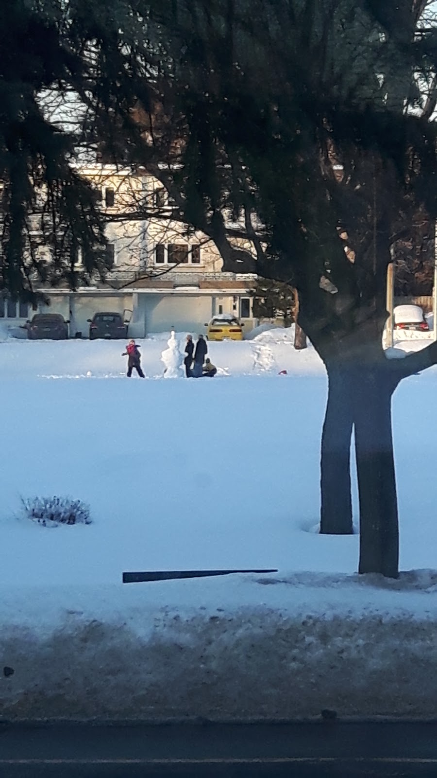 Parc Catherine-Primot | 195 Rue de Châteauguay, Longueuil, QC J4H 2K8, Canada